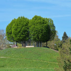 Aussichtspunkt Uni-Park Hohenheim