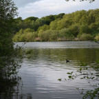Plön - Naturcamping Spitzenort