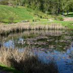 Hohenheimer Schlosspark‑Teich