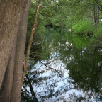 Plön - Naturcamping Spitzenort